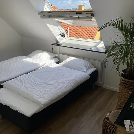 Sniva Rønne